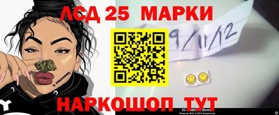 шишки Берёзовский