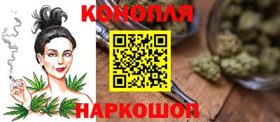 шишки Берёзовский
