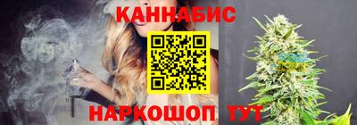 шишки Берёзовский