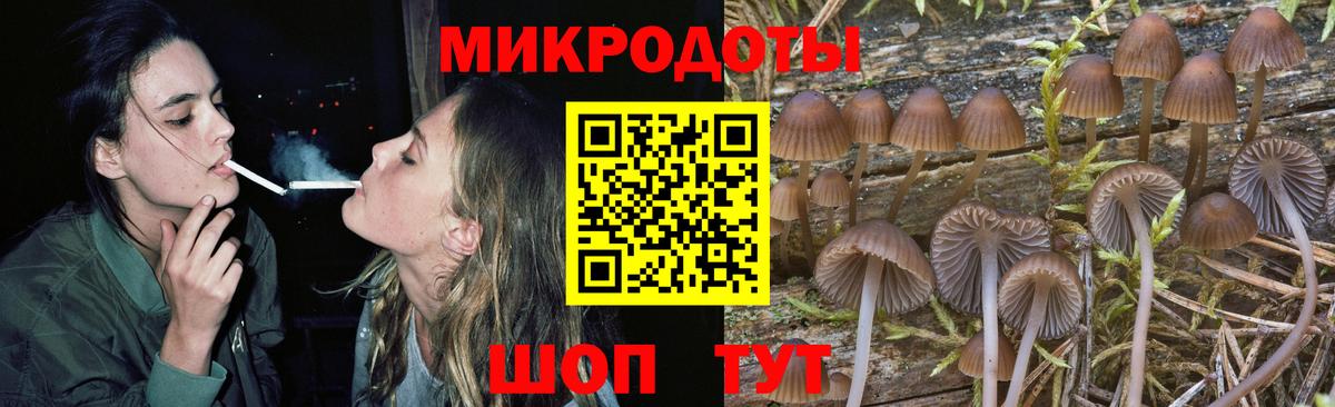 Псилоцибиновые грибы мухоморы  сколько стоит  Вход с VPN  Кировск  Галлюциногенные грибы мухоморы 